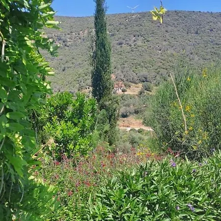 O Kipos 펜션 Zárakes